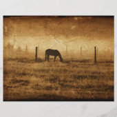 馬国のヴィンテージ素朴テクスチャの切り離し (正面)