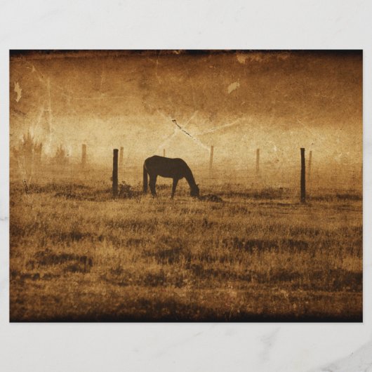 馬国のヴィンテージ素朴テクスチャの切り離し (正面)