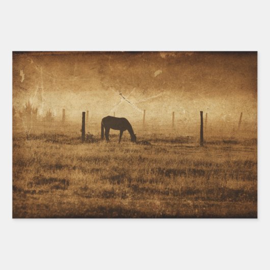 馬国のヴィンテージ素朴テクスチャの切り離し ラッピングペーパーシート (正面3)