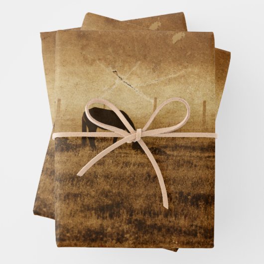 馬国のヴィンテージ素朴テクスチャの切り離し ラッピングペーパーシート (インサイチュ)