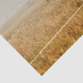 馬国の素朴切り離し 薄葉紙 (詳細)