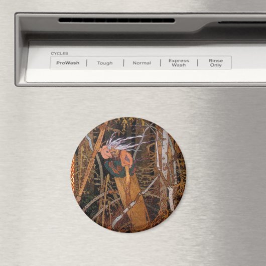 馬場矢賀 マグネット (インサイチュ (食洗機))