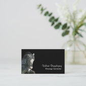 馬場馬術の馬の写真 名刺 (スタンド正面)