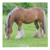 馬好きのカスタムな写真の立方体 フォトキューブ (右)