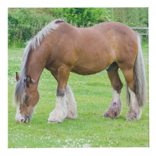 馬好きのカスタムな写真の立方体 フォトキューブ (右)