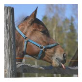 馬好きのカスタムな写真の立方体 フォトキューブ (正面)