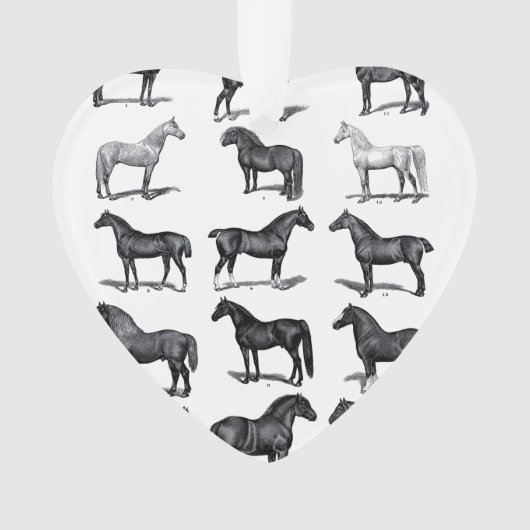 馬好きオーナメント オーナメント (正面)