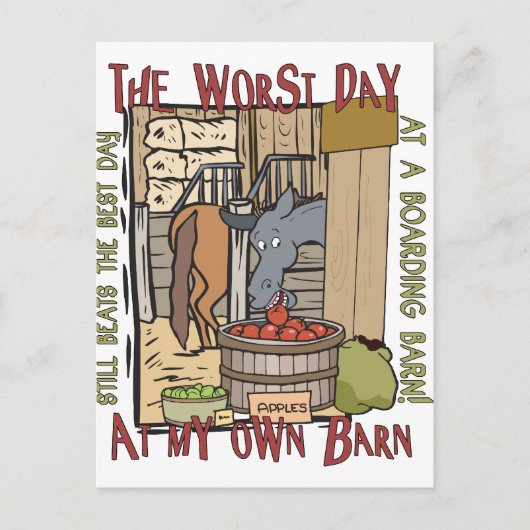 馬好きギフト ポストカード (正面)