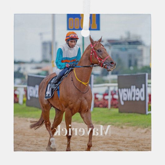 馬好きパーソナライズされたペットフォトエクエストリアン ガラスオーナメント (裏面)