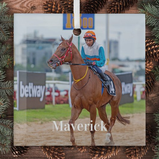 馬好きパーソナライズされたペットフォトエクエストリアン ガラスオーナメント