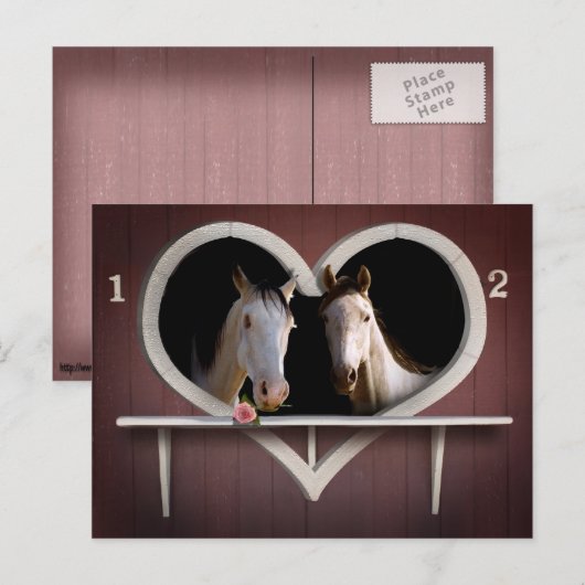 馬好き ポストカード (正面/裏面)