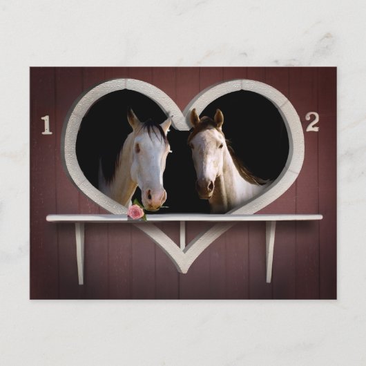 馬好き ポストカード (正面)