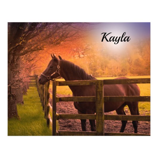 馬娘 フォトプリント            (正面)
