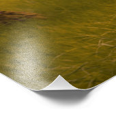 馬娘 フォトプリント            (角)