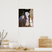 馬小屋で縛られた馬の接頭 ポスター (キッチン)