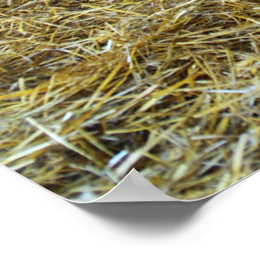 馬小屋の中の馬 ポスター (角)