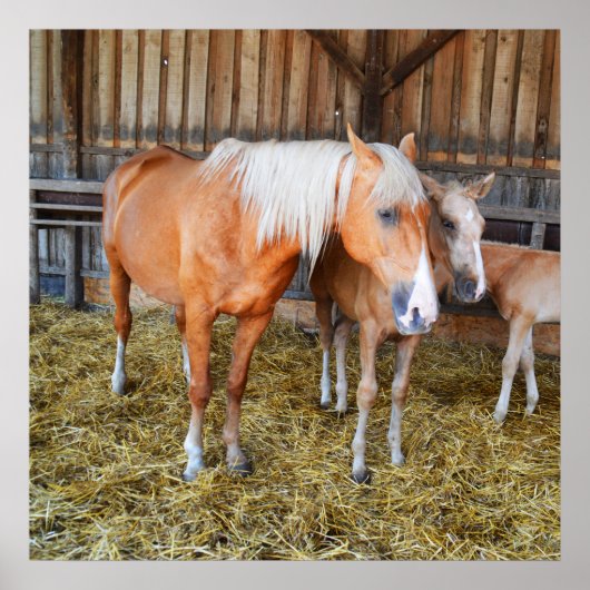 馬小屋の中の馬 ポスター (正面)