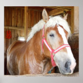 馬小屋1 ポスター (正面)