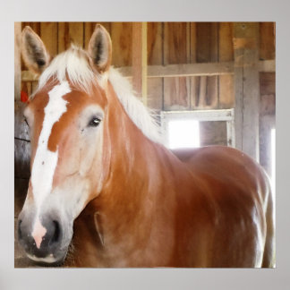 馬小屋2 ポスター