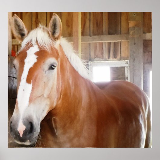 馬小屋2 ポスター (正面)