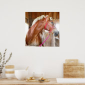 馬小屋3 ポスター (キッチン)