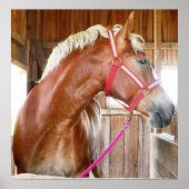 馬小屋3 ポスター (正面)