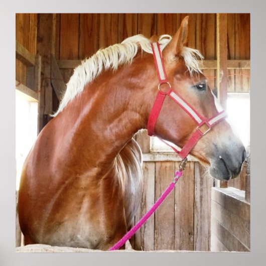 馬小屋3 ポスター (正面)