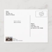 馬愛感謝 ポストカード (裏面)