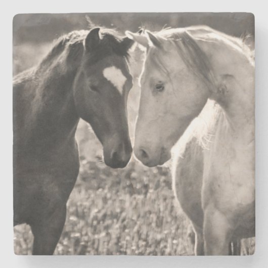 馬愛 ストーンコースター (正面)