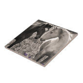 馬愛 タイル (側面)