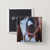 馬愛 缶バッジ (正面&裏面)