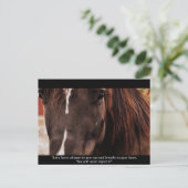 馬感動的葉書 ポストカード (スタンド正面)