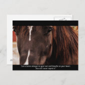 馬感動的葉書 ポストカード (正面/裏面)