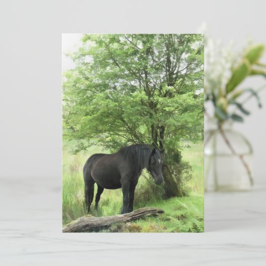 馬招待状 (スタンド正面)