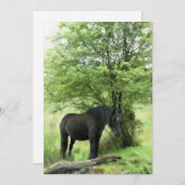 馬招待状 (正面/裏面)