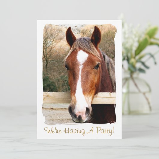 馬招待状 (スタンド正面)