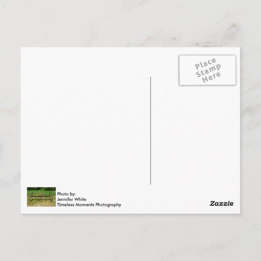 馬描干し熊手 ポストカード (裏面)