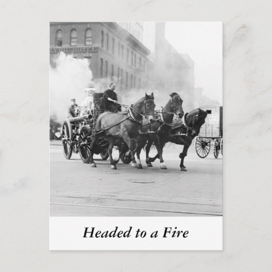 馬描消防車、1900年代初期 ポストカード (正面)