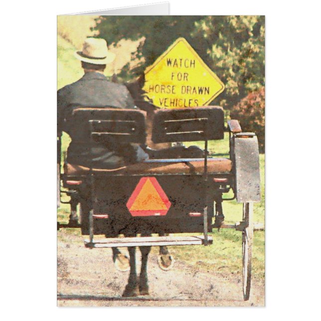 馬描車、アミッシュ馬と乳母車 (正面)