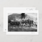 馬描車 ポストカード (正面/裏面)