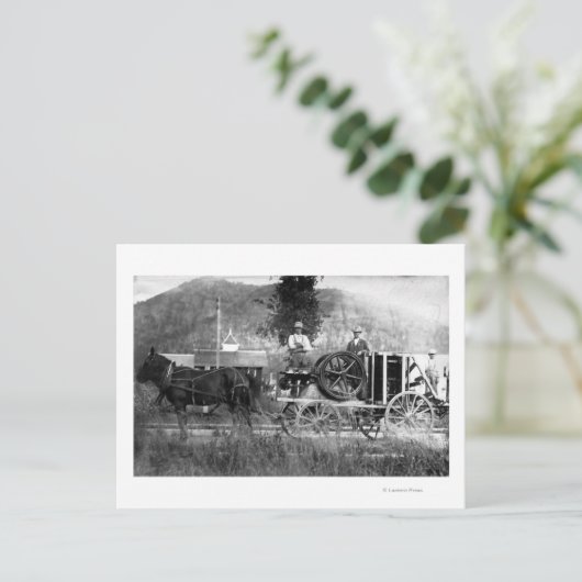 馬描車 ポストカード (スタンド正面)