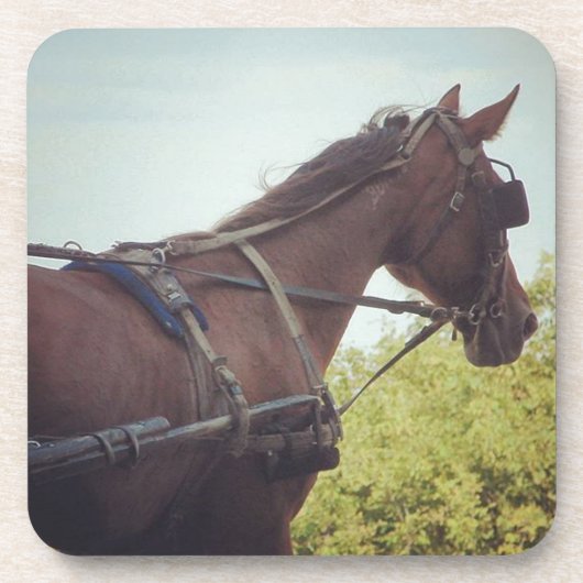 馬描輸送 コースター (正面)