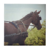 馬描輸送 タイル (正面)