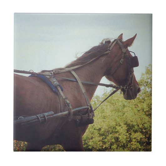 馬描輸送 タイル (正面)