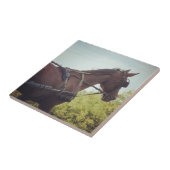 馬描輸送 タイル (側面)