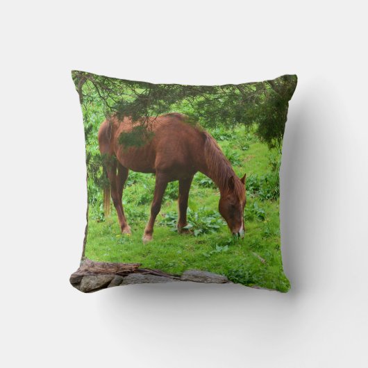 馬枕 クッション (正面)