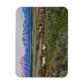 馬歩き マグネット (縦)