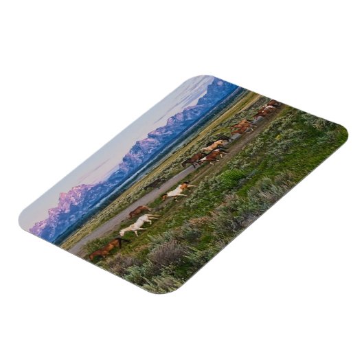 馬歩き マグネット (左側)