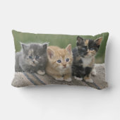 馬毛布の納屋の子猫 ランバークッション (裏面)