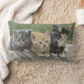 馬毛布の納屋の子猫 ランバークッション (ブランケット)